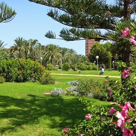 Homestay 35-6-2- Комната В Квартире Для 1 Человека В Аликанте Alicante